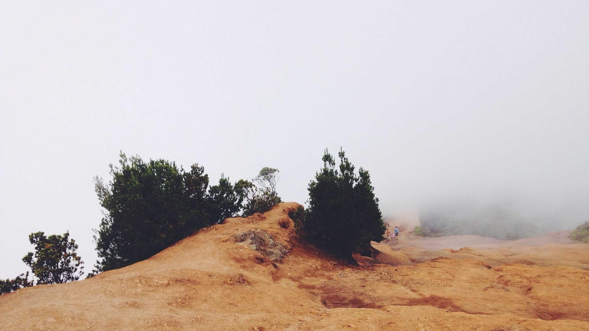 Zen Garden